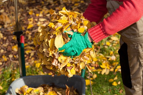 Environmental considerations for skip hire services