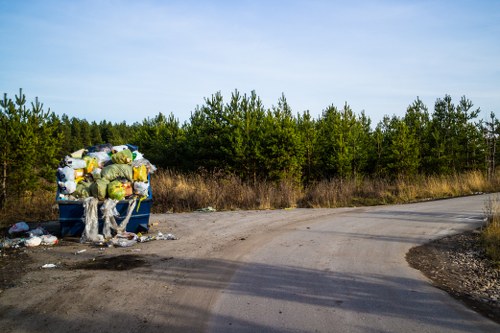 Environmentally friendly waste management with commercial skips